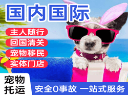昆冈航空物流国际宠物托运 【国